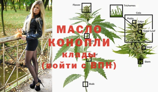 прущий лед Михайлов