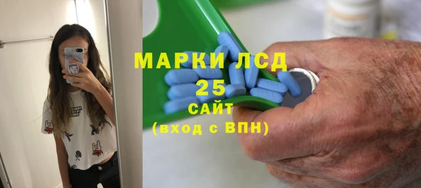 прущий лед Михайлов