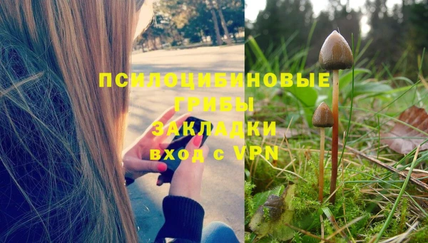 а пвп мука Домодедово