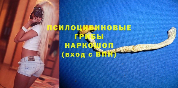 прущий лед Михайлов