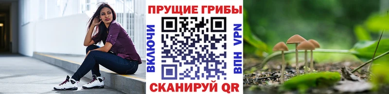 кракен вход  Братск  Псилоцибиновые грибы MAGIC MUSHROOMS 